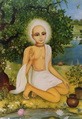 RADHADAMODARJI