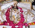 RADHADAMODAR